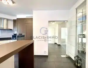 SUPERBE DUPLEX DE 208M² AU TOTAL DONT 2 TERRASSES DE 20M² CHACUNES. - Glacis Immo